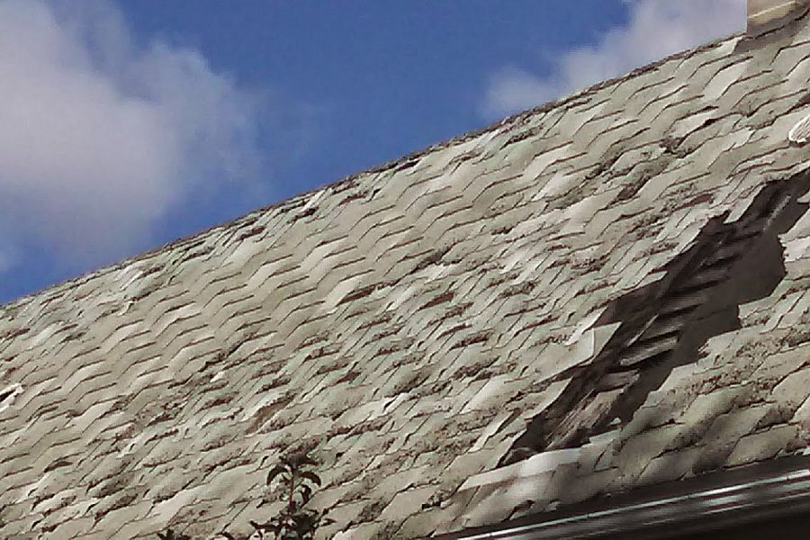 Curling and cracking asphalt shingles with granule loss on older Buffalo NY home roof — end-of-life shingle failure common in WNY's harsh freeze-thaw climate