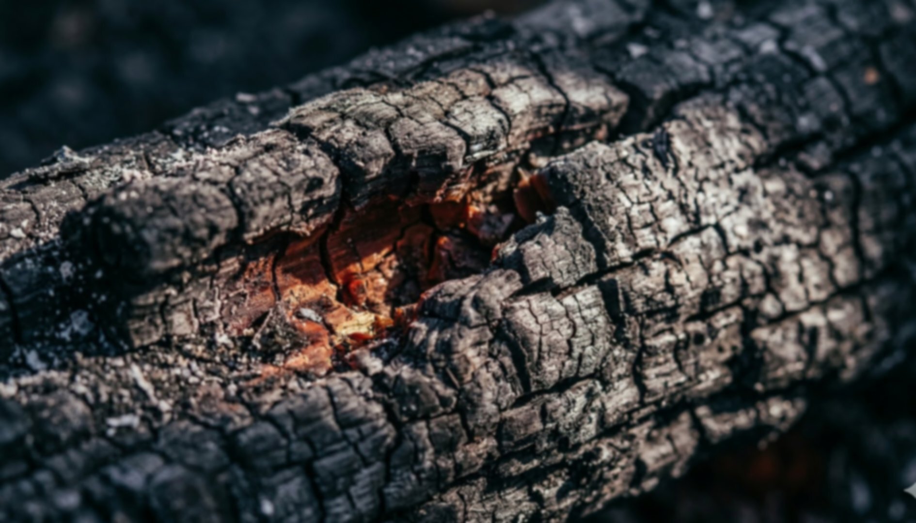 Charred wood with ember glow — fire damaged property Buffalo NY