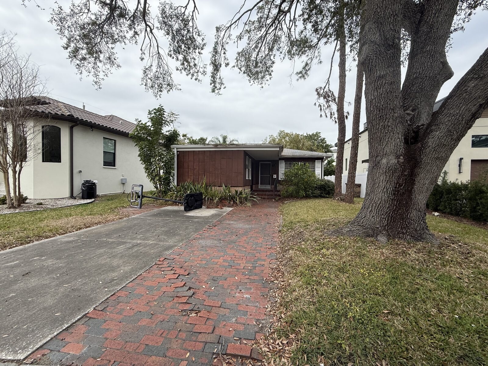 Front of an older single-story South Tampa house shaded by an oak