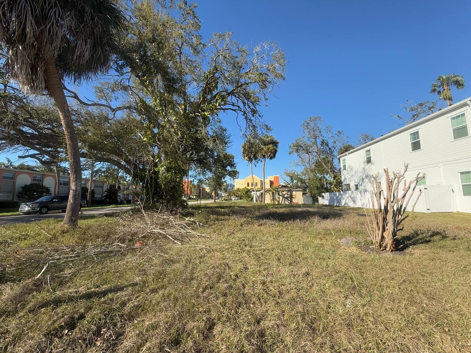 Grassy vacant lot between houses in South Tampa