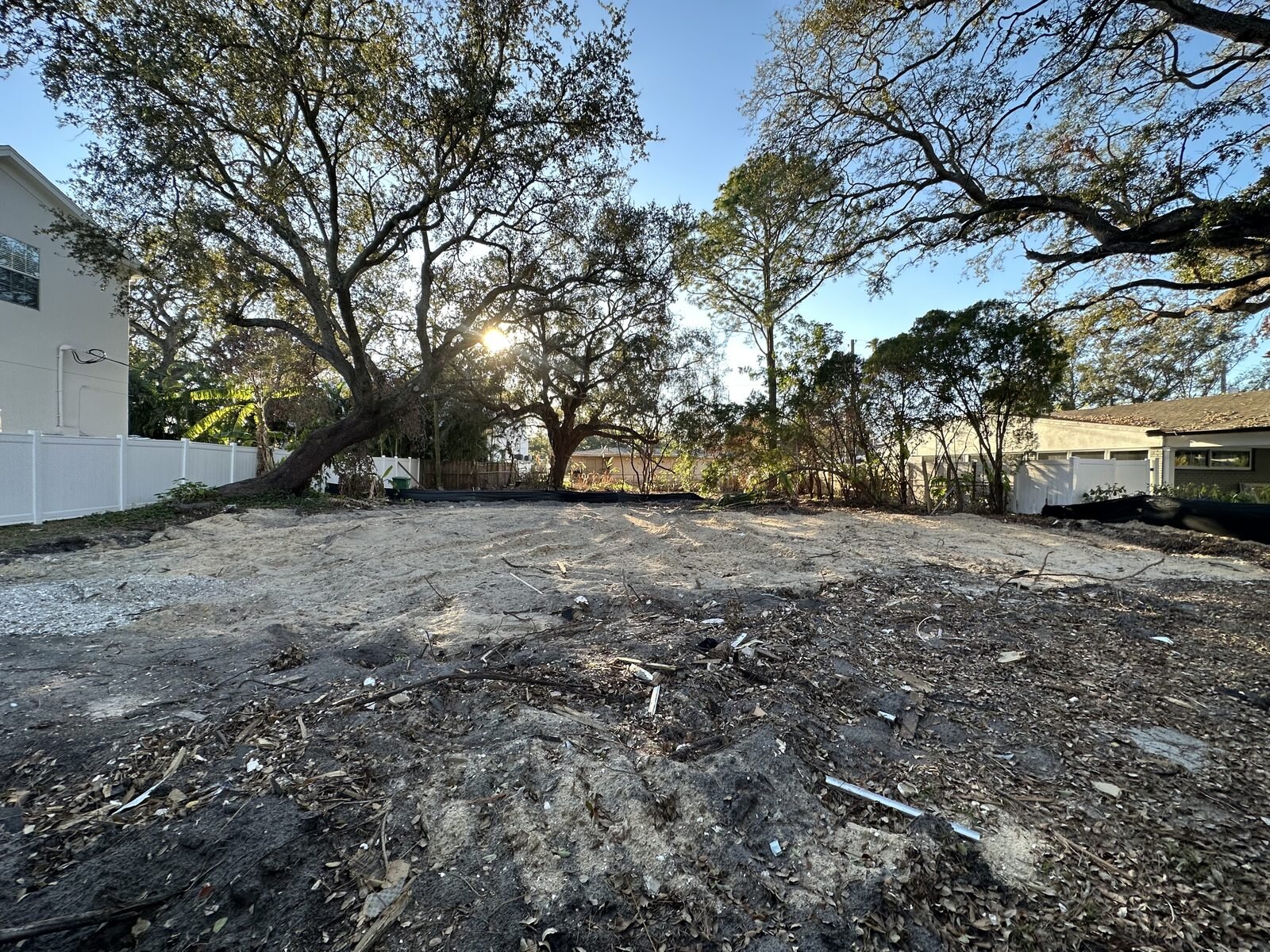 Cleared South Tampa lot under mature oak trees after the old house came down