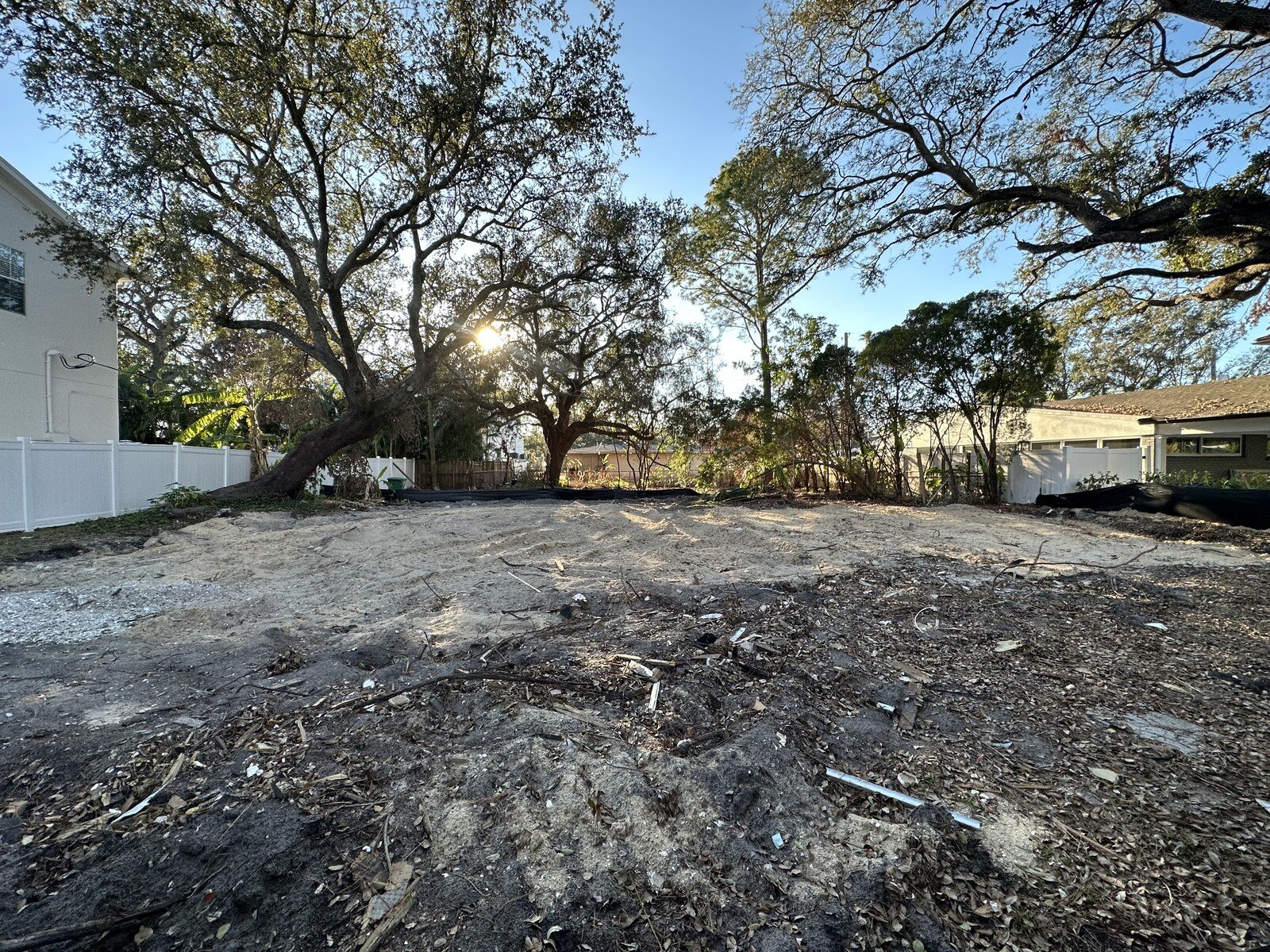Cleared South Tampa lot under a live oak