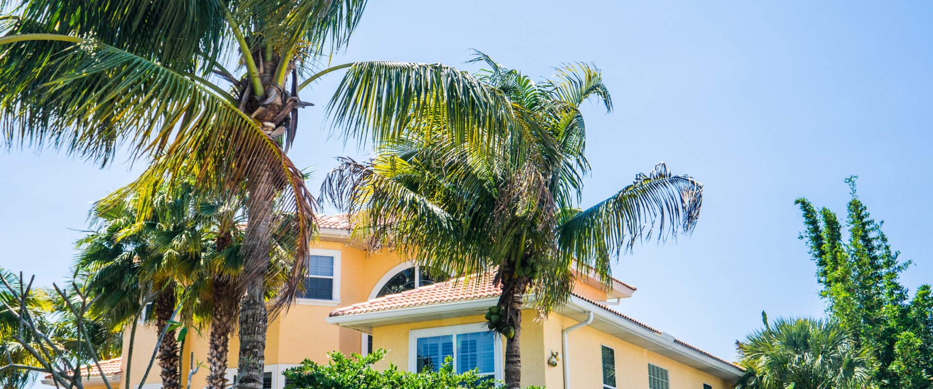 yellow stucco home with palm trees