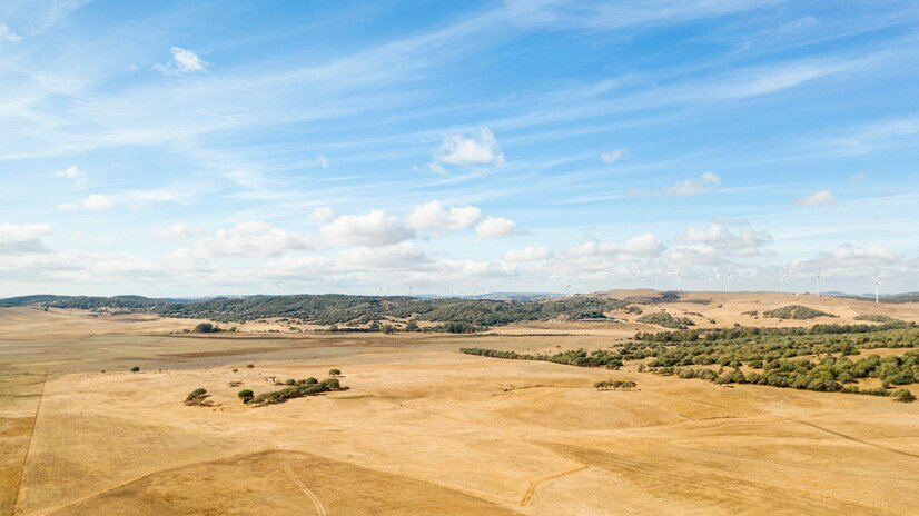 Texas Cash Land Buyer Company (10)