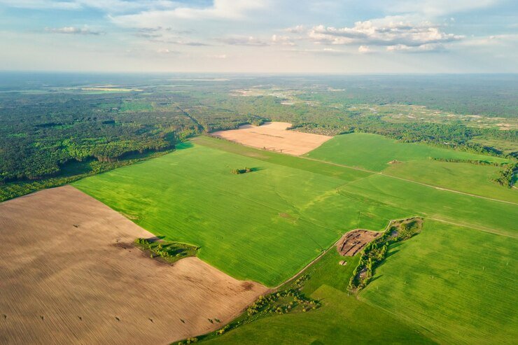 WE BUY LAND Texas
