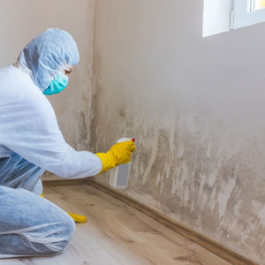 Sell Your House With Mold Dayton