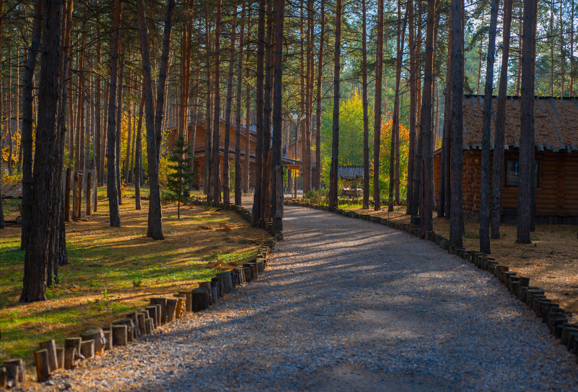 Wooden cabin