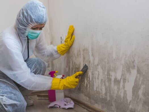 Selling a House With Mold Damage in TX