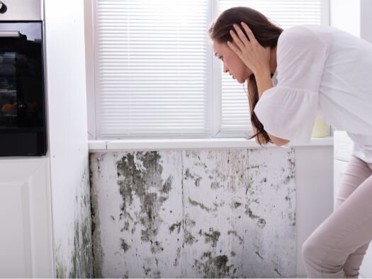 Selling a House With Mold in Texas