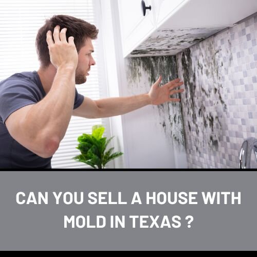 Can you sell a house with a mold in Texas