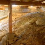 Selling a House with Crawl Space Water Issues in Texas