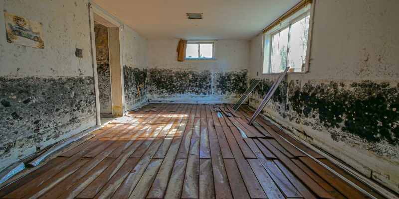 How to Sell a House With Mold in West Virginia