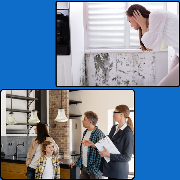 Guide on How to Sell a House with Mold