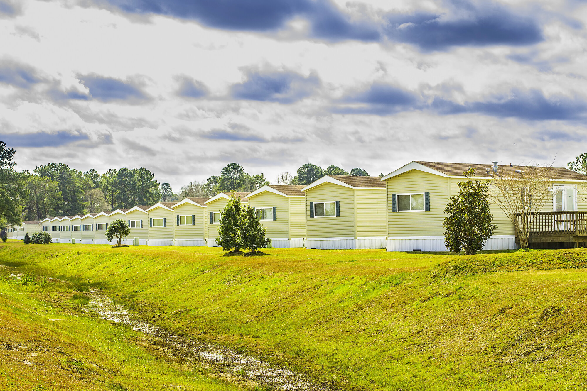 Neighborhood and Community