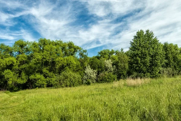 Sell your Sarasota land fast today