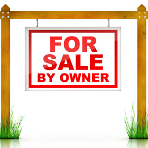 How to sell your home without a realtor Georgia