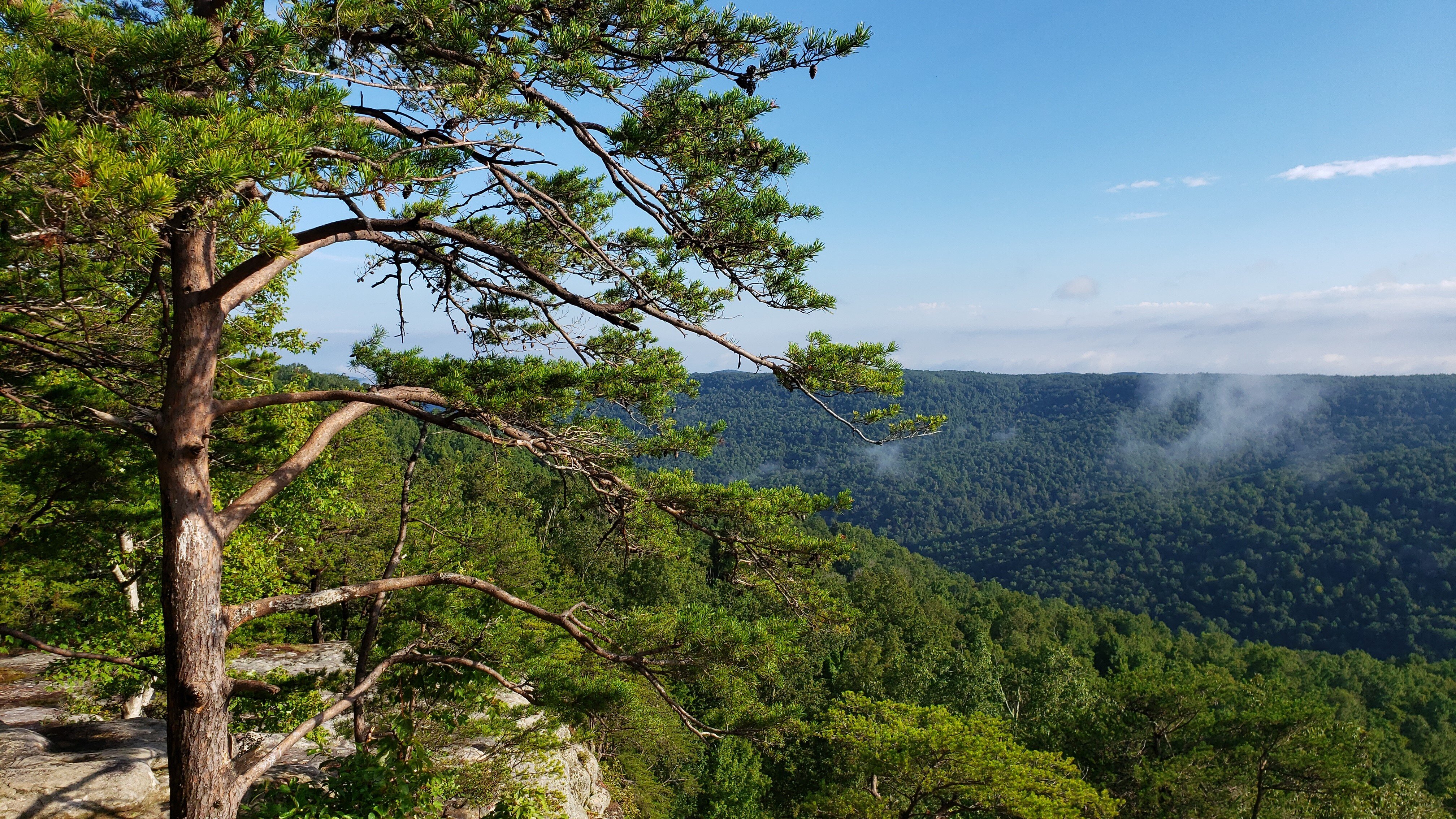 A scene from Bee Rock in Monterey, Tennessee. Overlooking the rolling hills just east of Cookeville.