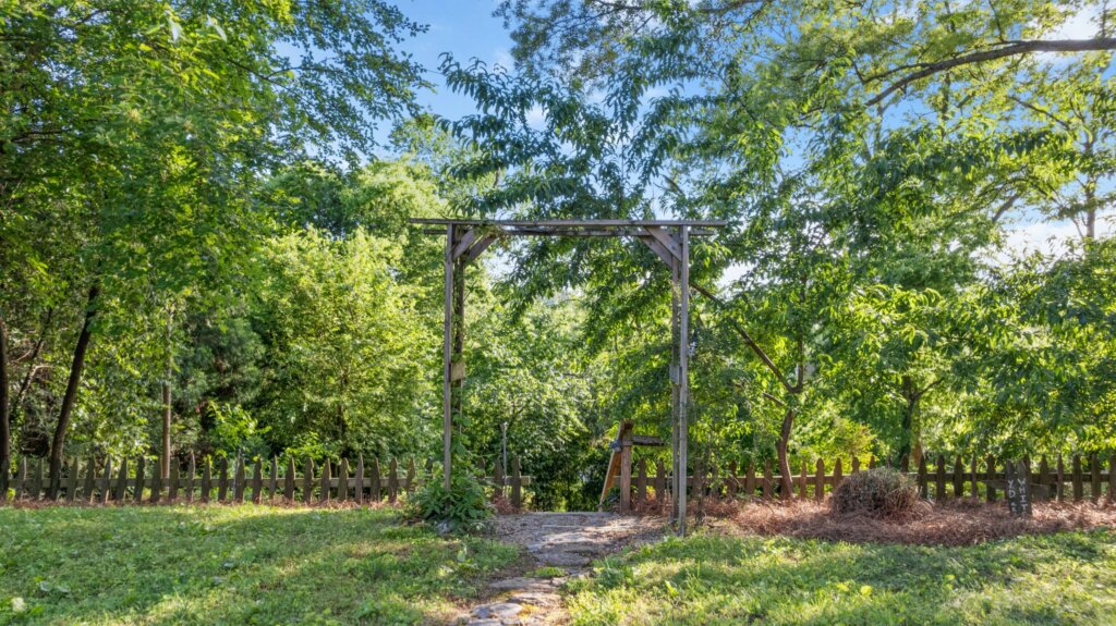 Backyard of home in Rome, GA.