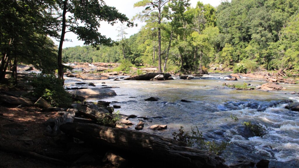Photo of Sweetwater State Park in Lithia Springs, GA