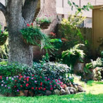 Suburban Houston neighborhood street with HOA-maintained landscaping on a sunny day