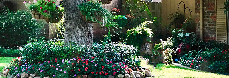 Suburban Houston neighborhood street with HOA-maintained landscaping