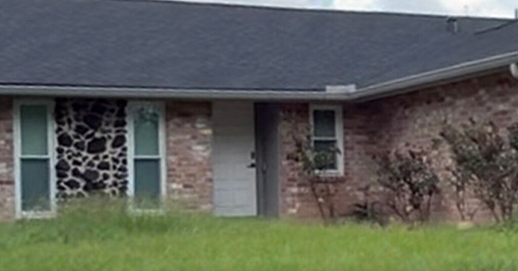 Brick and stone Suburban Ranch House in La Marque TX with overgrown front yard