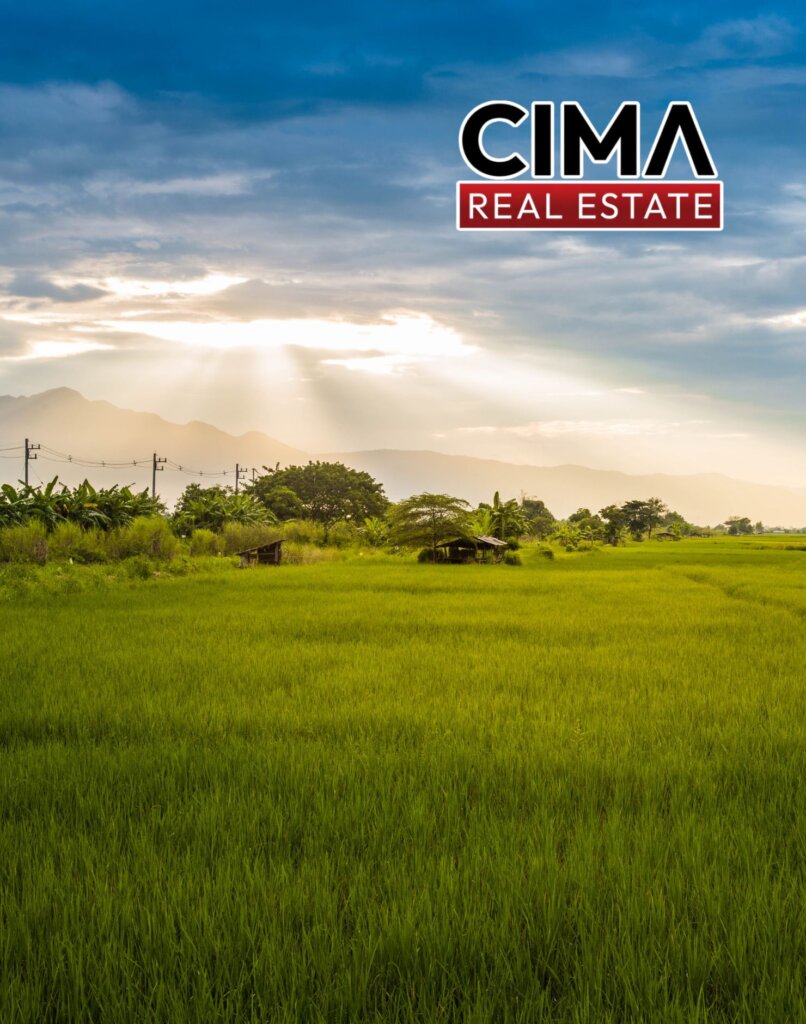 Owner Financed Land For Sale in Dallas-Fort Worth
