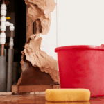 Can you sell house with water damage Alaska