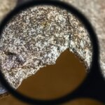Is It Legal to Sell a House with Asbestos in Alaska