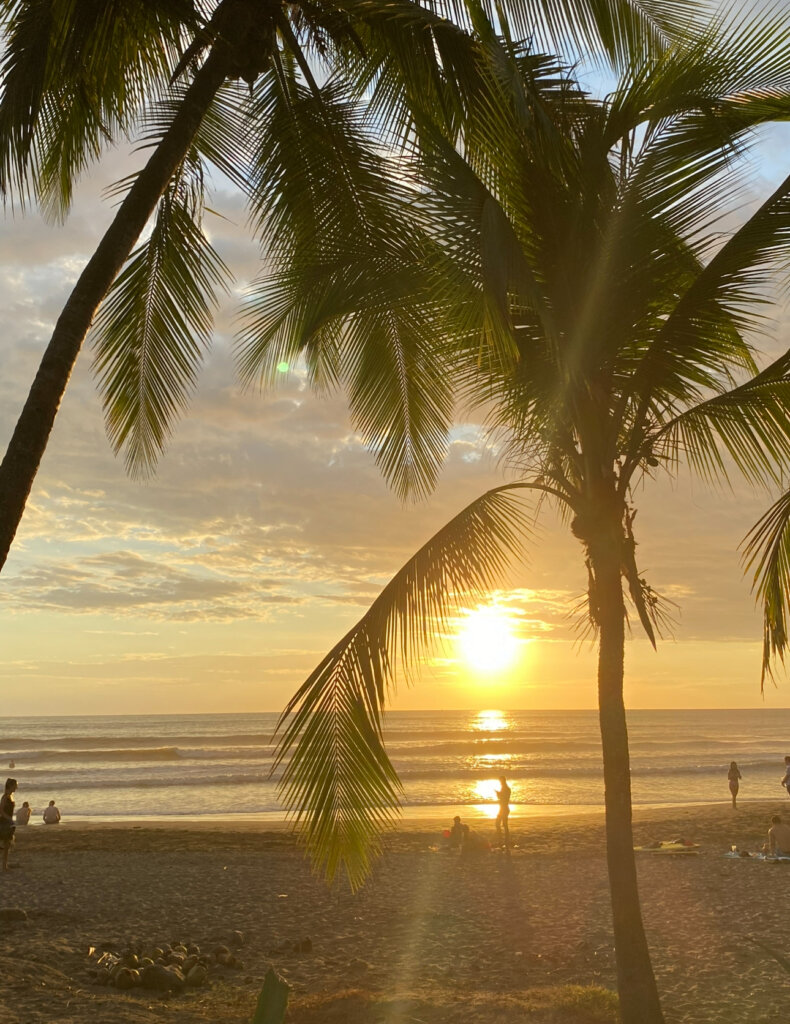 Sunset