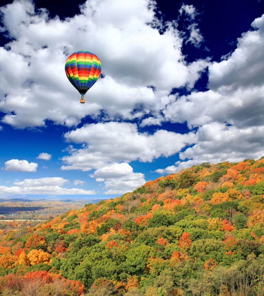 A New Jersey landscape