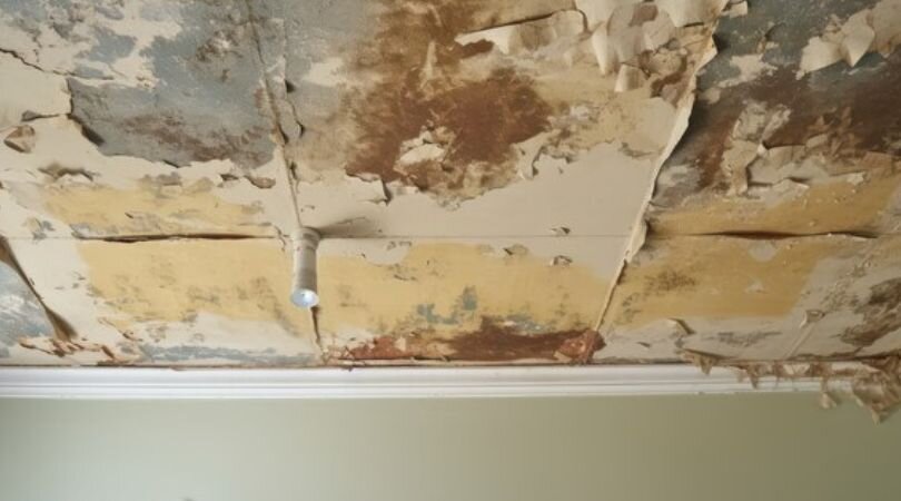Sell Your Moldy Georgia House Fast