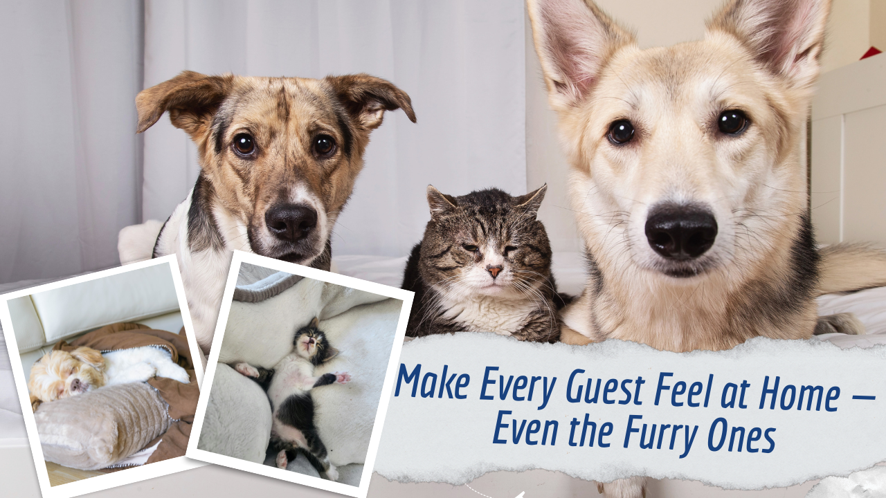 Make Every Guest Feel at Home — Even the Furry Ones