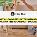 Why You Should Allow Pets in Your Vacation Rental in Orlando