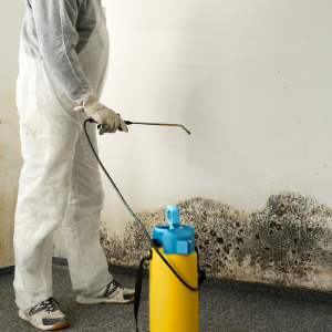 Sell my house needing repairs fast Massachusetts