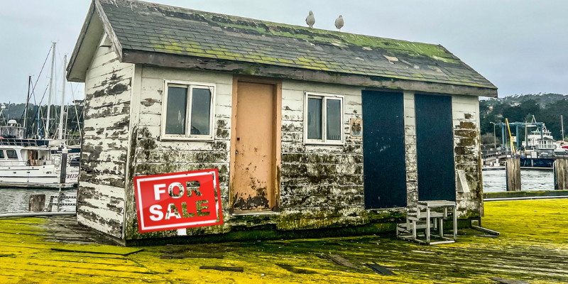How to Sell a House With Mold Boston, MA