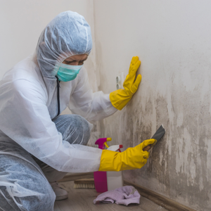 Sell a House Fast With Mold Boston, MA