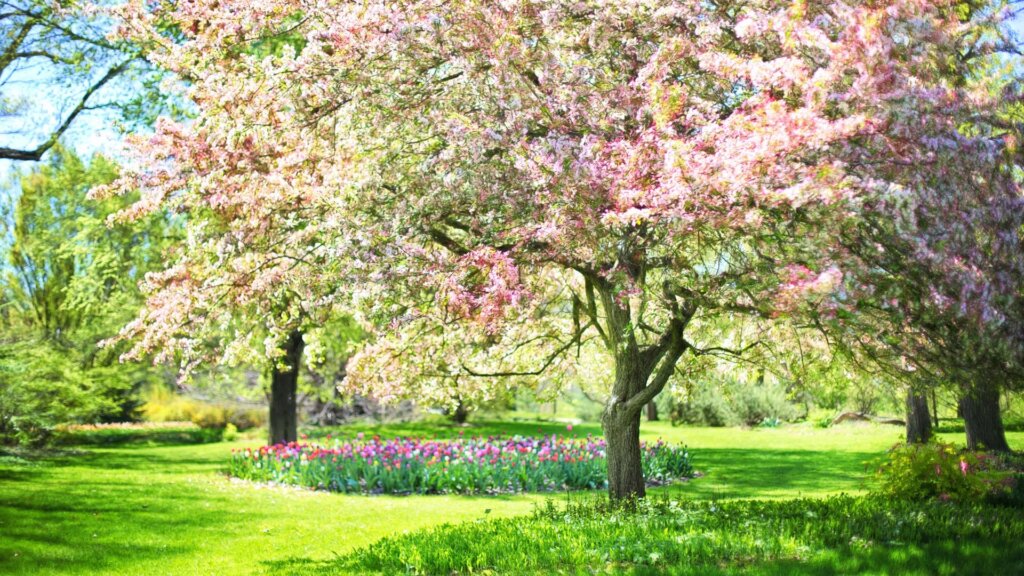 Springtime in Georgia