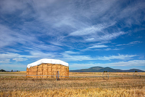 sell my house fast rathdrum, idaho