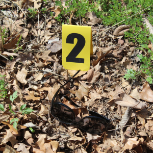 Best and Worst Areas In Virginia 