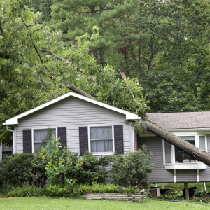 Selling Your Storm-Damaged House Tacoma