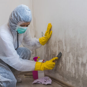 Selling house with mold for cash Raleigh