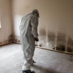 Mold remediation