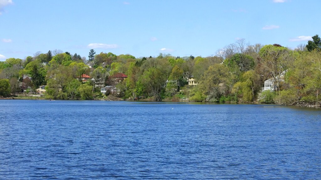 Spy Pond in Arlington, MA