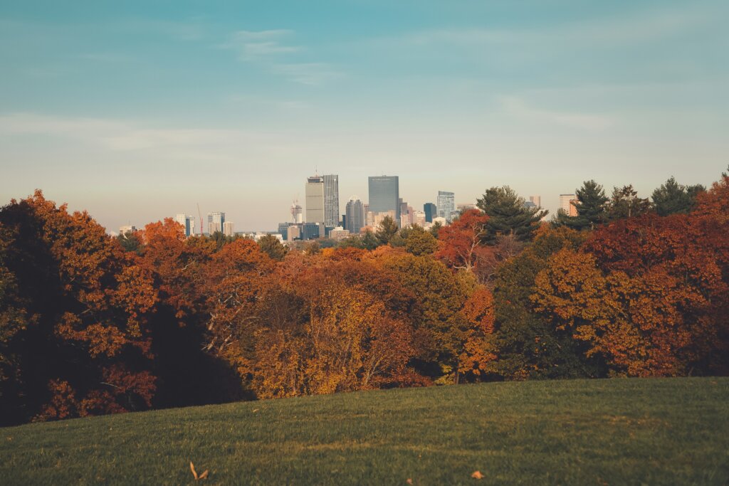 View of Boston skyline from Brookline, MA