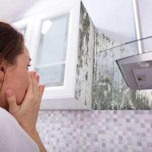 Sell a House With Mold Philadelphia