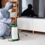 How to Sell a Home With Termites In Pennsylvania
