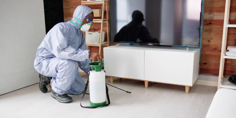 How to Sell a Home With Termites In Pennsylvania