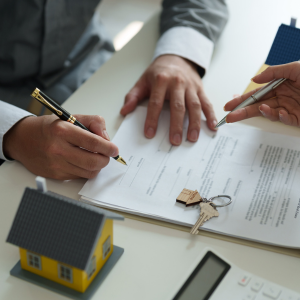 How to Successfully Sell a Termite-Infested House In Pennsylvania