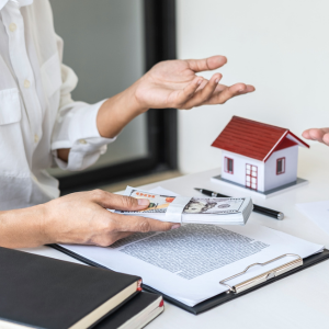 Tips for Selling a House With Termite Damage In Pennsylvania